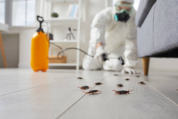 Commercial Kitchen Cockroach Control in Fruit Hill